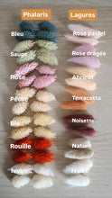 Charger l&#39;image dans la galerie, Porte-Barrettes - Fleurs séchées - Réouverture des commandes en décembre et expédition janvier / février